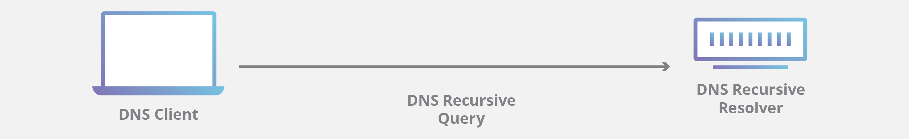 DNS5