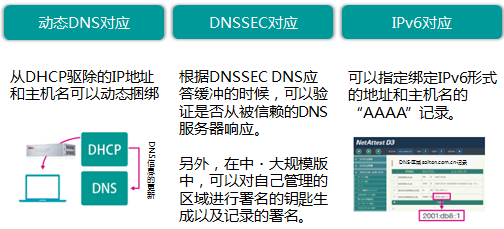 dhcp4