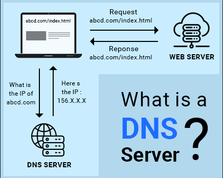 DNS1