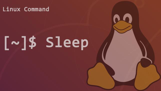 linux sleep