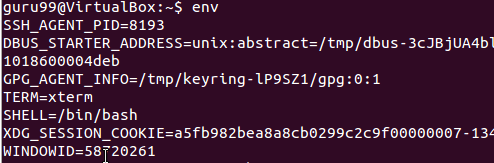 linux显示全部环境变量