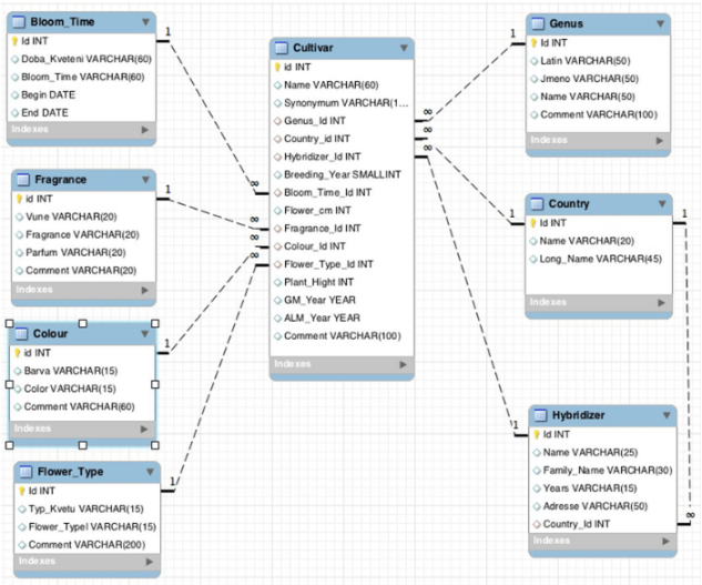 mysql