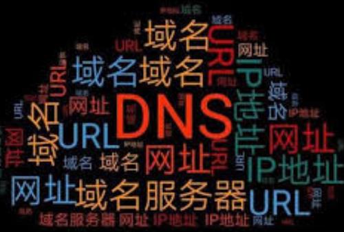 域名信息