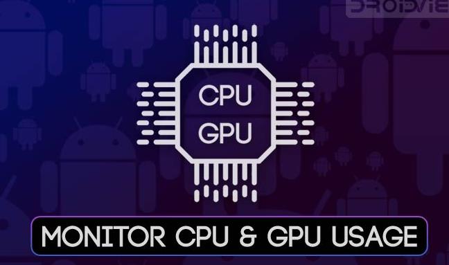 CPU和GPU