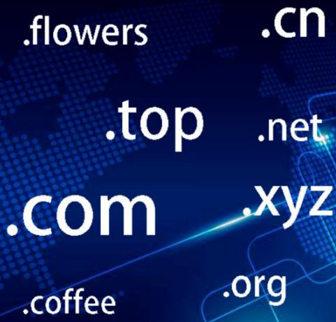 域名 域名