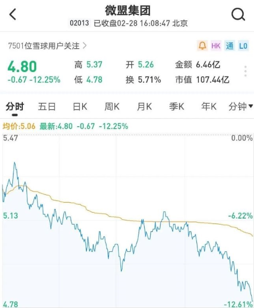 微盟集团