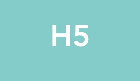 h5