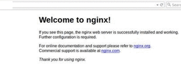 nginx