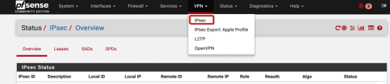 创建IPSec VPN1