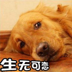 一次心惊肉跳的服务器误删文件的恢复过程