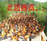 新睿云高防御服务器与高防IP助您“云上无忧”