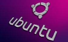 Ubuntu安装flash Chrome浏览器完美解决Flash不显示问题