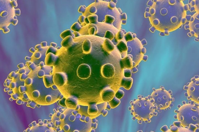 新型冠状病毒是什么？从埃博拉到流感人工智能从不缺席