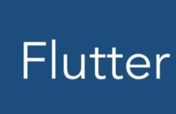 Flutter 路由——页面表及页面参数绑定的自动生成