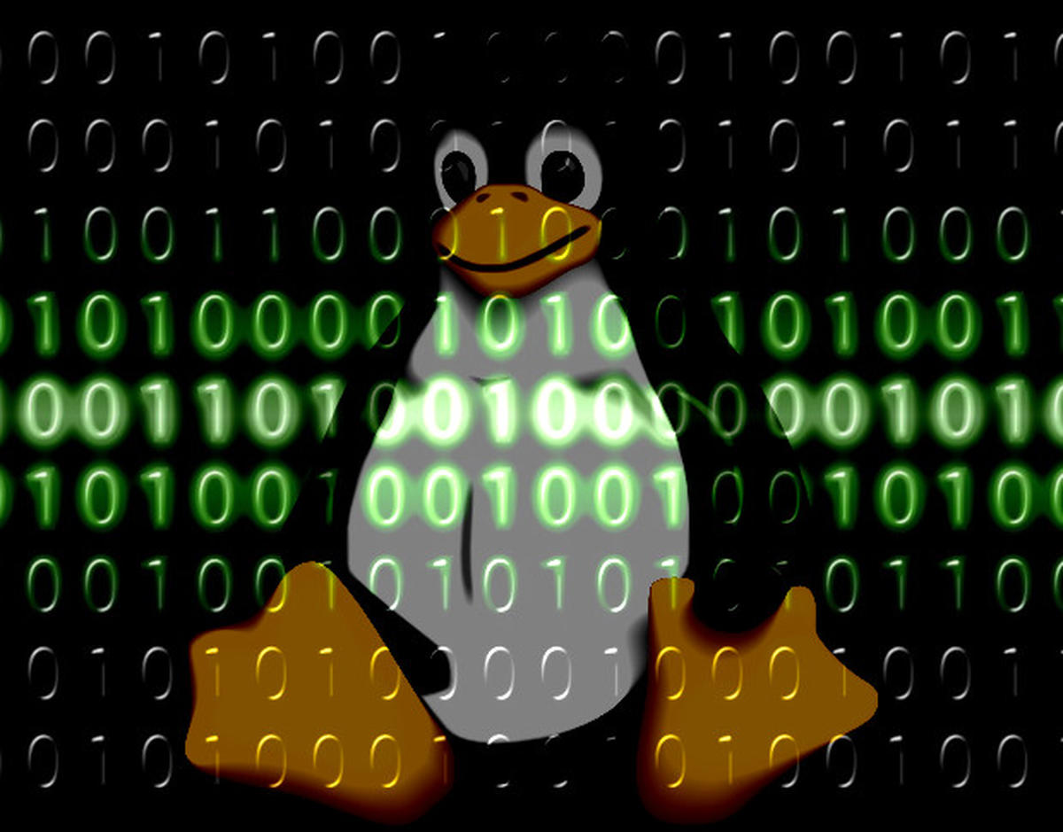 Linux系统如何设置共享文件夹?新建文件夹以及指令是什么？