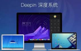 国产Deepin系统软件生态逐步完善：百度网盘正式上线！